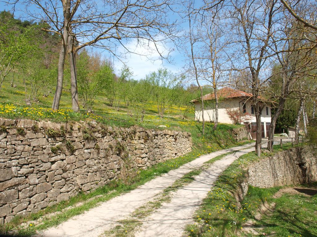 La Collina degli Scoiattoli Villa Cravanzana Esterno foto